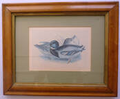 Birdseye maple frame